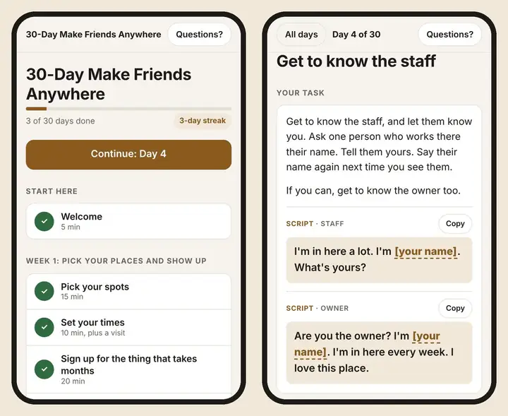 The app on a phone: progress and streak on the left, Day 4 with copy-paste scripts on the right
